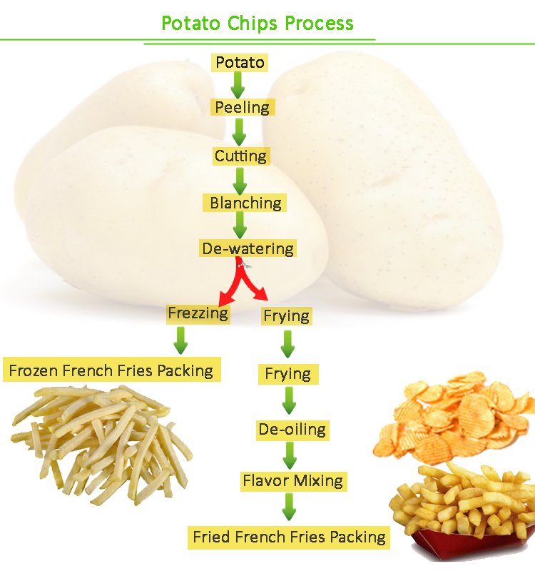French Fries Potato Chips Machine