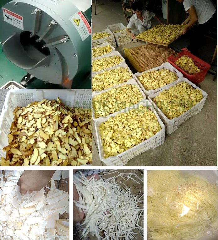 ginger shredder machine