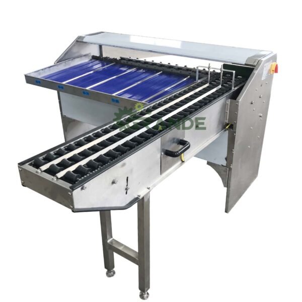 Egg Grading Sorter Machine