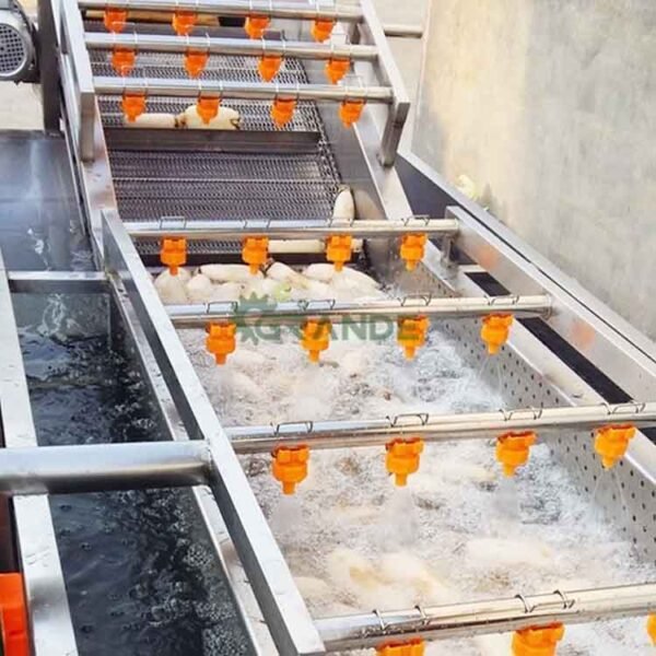 Vegetable Fruit Bubble Washing Machine